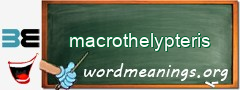 WordMeaning blackboard for macrothelypteris